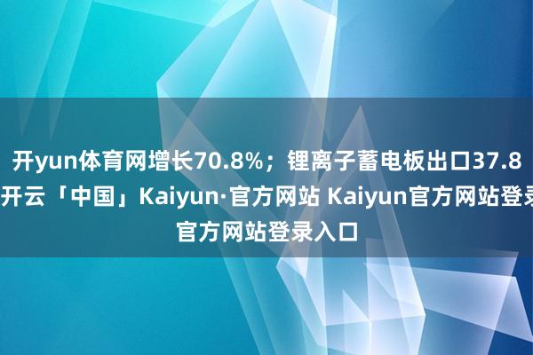 开yun体育网增长70.8%；锂离子蓄电板出口37.8亿元-开云「中国」Kaiyun·官方网站 Kaiyun官方网站登录入口